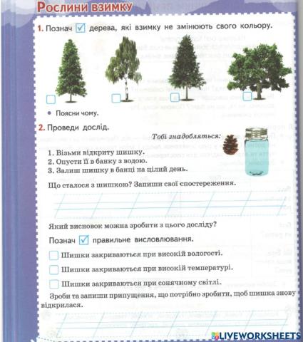 Рослини взимку