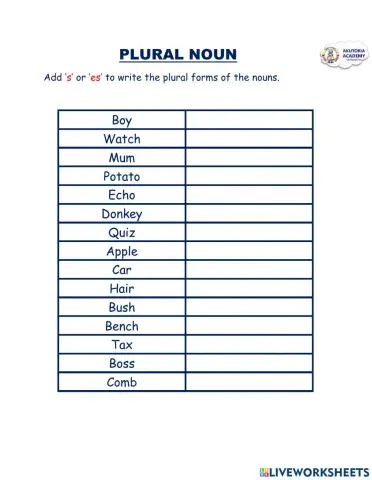 Plural Nouns