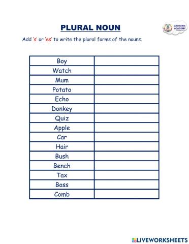 Plural Nouns