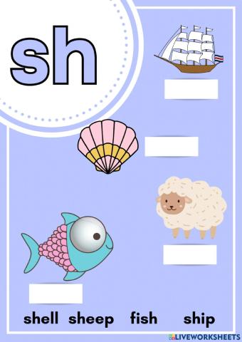 Basic phonics sh