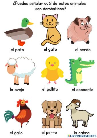 Animales Domésticos