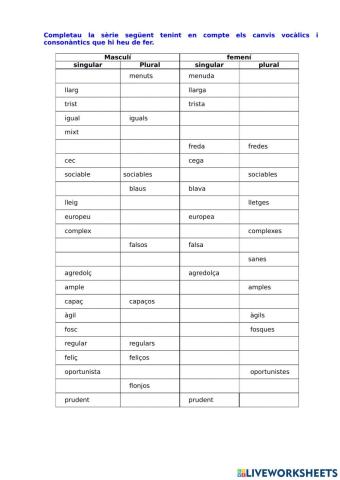 Els adjectius (singular-plural)