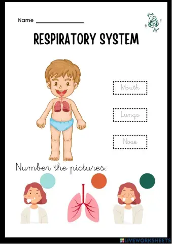 Science 1,  Body Systems