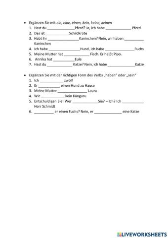Ein-eine-einen und haben-sein