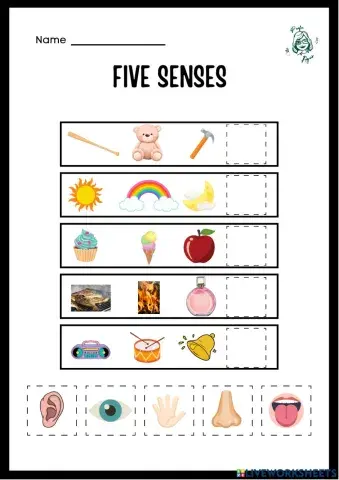 Five senses