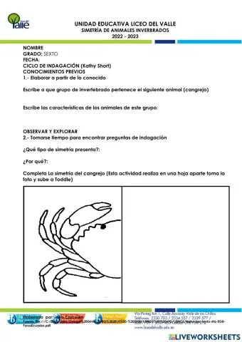 Simetría de los animales invertebrados