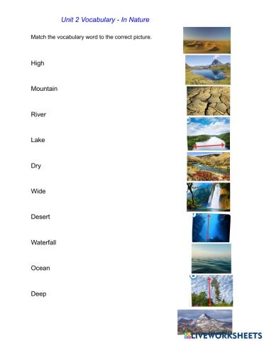 Open Up 5 Unit 2 Vocab