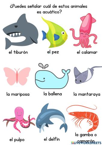 ¿Cuál animal es acuático?