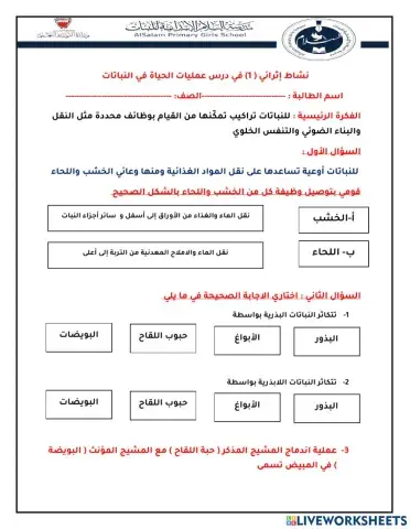 عمليات الحياة في النباتات