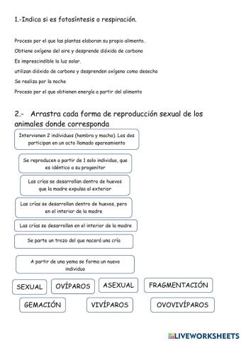 Las funciones en animales y plantas