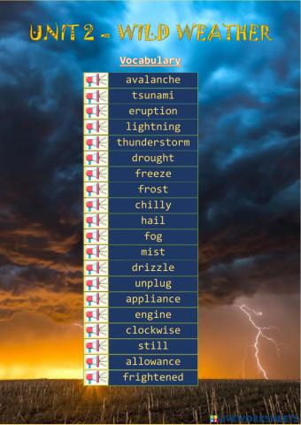 Unit 2 - Wild weather