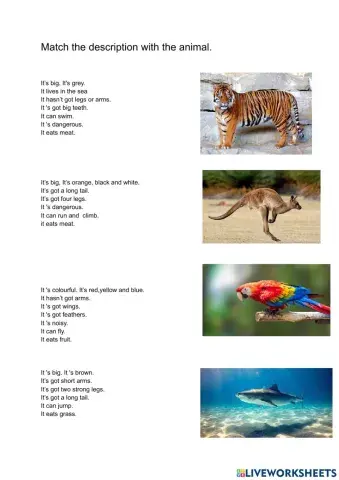 Describing animals