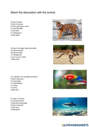 Describing animals
