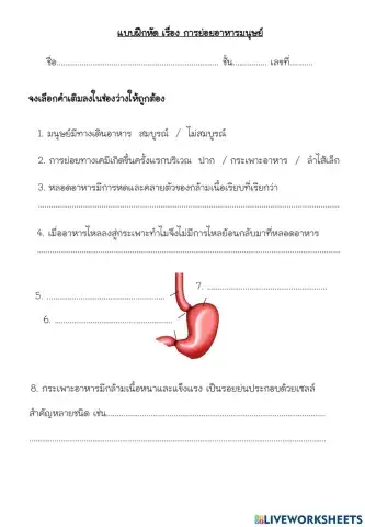 การย่อยในกระเพาะอาหารของคน