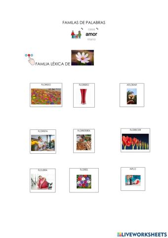 Familias léxicas 4