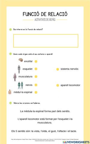 Repàs funció de relació