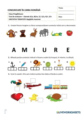Evaluare sumativa CLR - Clasa pregatitoare