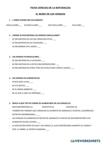 El reino de los hongos