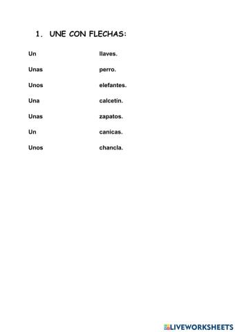 Articulos indefinidos: un, una, unos, unas