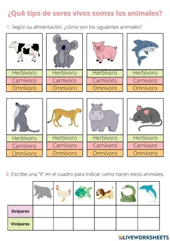 ¿Qué tipo de seres vivos somos los animales?