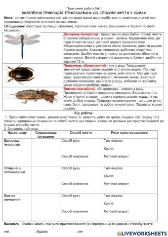 Практична робота № 1 Виявлення прикладів пристосувань до способу життя у комах.