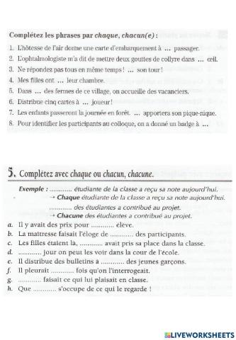 Adjectifs et pronoms indefinis