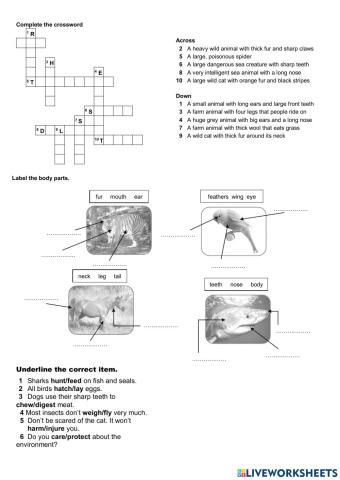 On screen 1 Module 6 voc