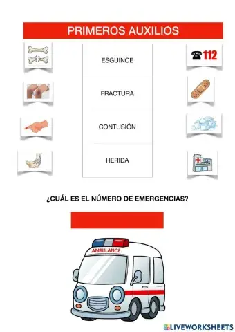 Primeros auxiliosº