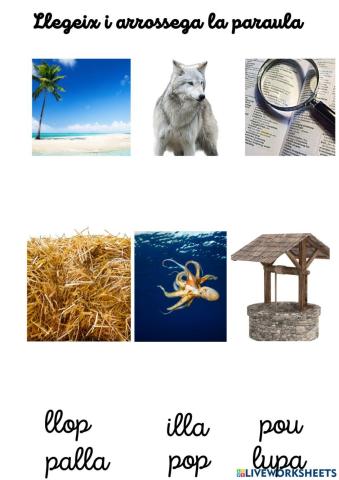 Paraules amb les vocals, p, l i ll.