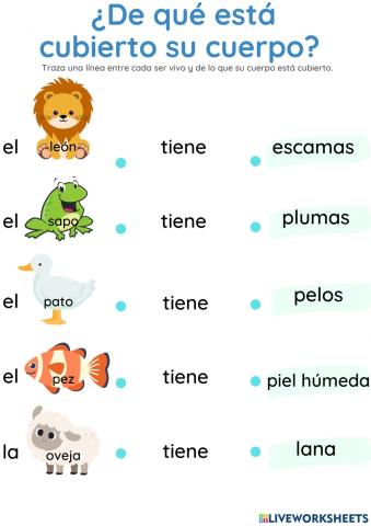 Cubierta del cuerpo de los animales