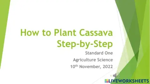 Planting Cassava Part One