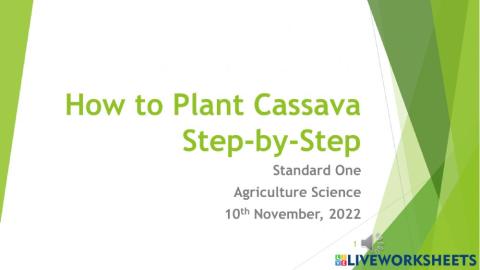 Planting Cassava Part One