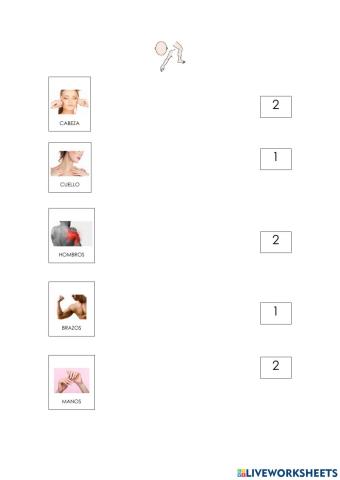 Las partes del cuerpo