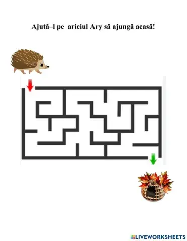 Aventura ariciul Ary