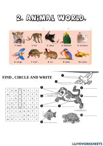 3º unit 2 anima world