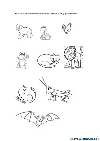 Χειμέρια νάρκη