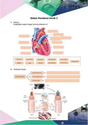 LKPD Sistem Peredaran Darah II