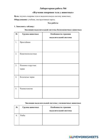 Лабораторная работа №6