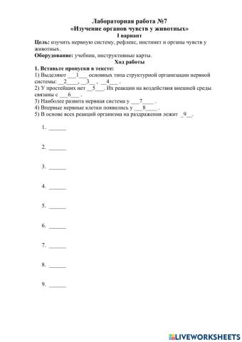 Лабораторная работа №7