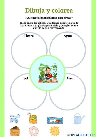 Qué necesita una planta para vivir