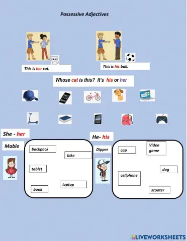 Possessive his and her