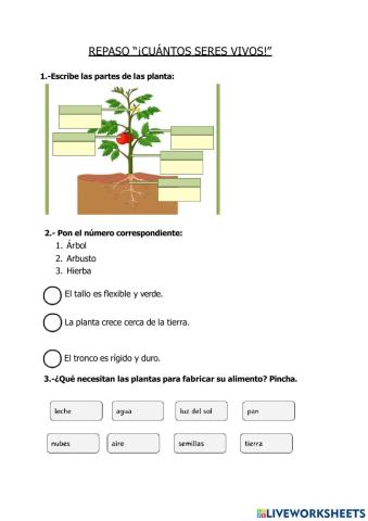 ¡Cuántos seres vivos!