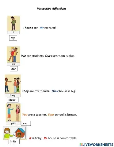 Possessive your, my, our