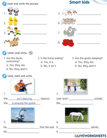 Sj 3 smart kids 3 WB