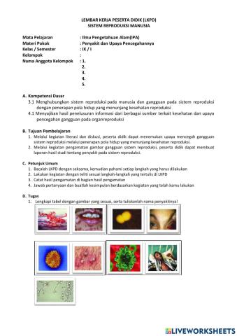 Lkpd sistem reproduksi