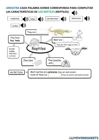 Reptiles characteristics
