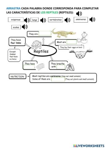 Reptiles characteristics