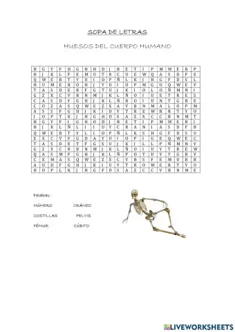 Sopa de letras - Huesos del cuerpo humano