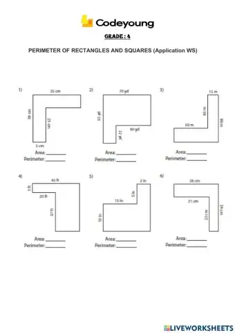 PERIMETER OF RECTANGLES AND SQUARES (Application WS)