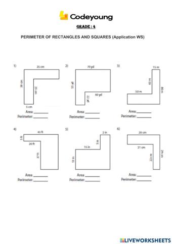 PERIMETER OF RECTANGLES AND SQUARES (Application WS)